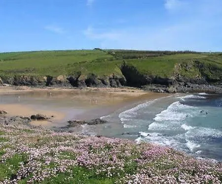 Tregaddra Farm Otel Cury